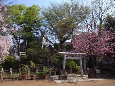 ⛩️ 비둘기 숲 하치만 신사 (하토노모리 하치만 진자) 이미지 2